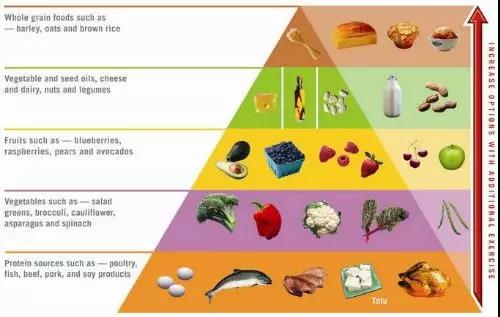 网红一个月减肥饮食法,网红减肥餐真的可以减肥吗