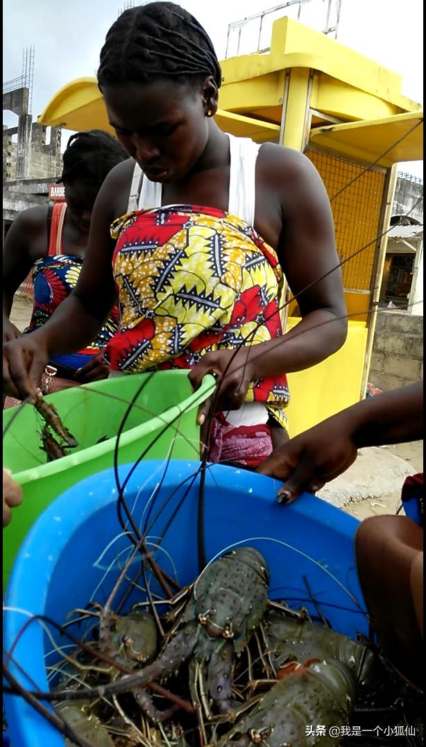 我在安哥拉学葡萄牙语的经历，太难了在非洲安哥拉的日子231