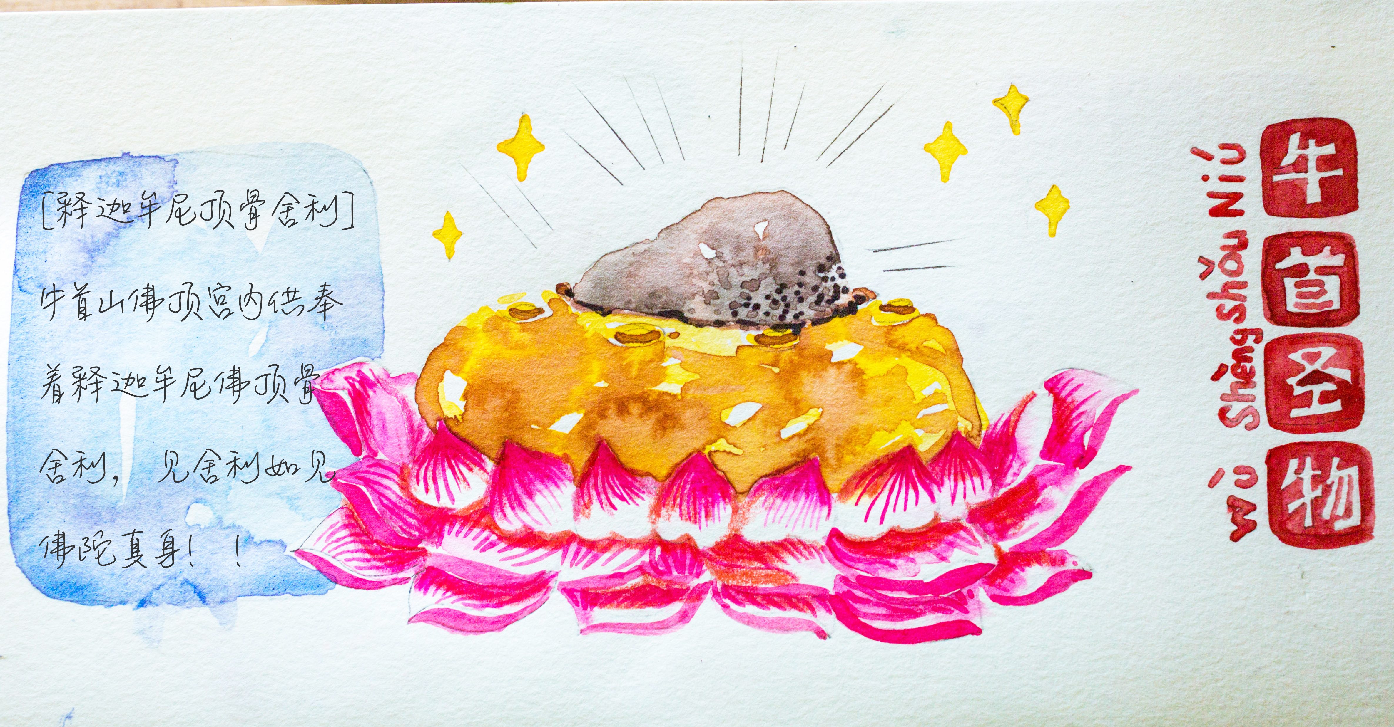 释迦牟尼舍利子头盖骨,释迦牟尼的真身头盖骨