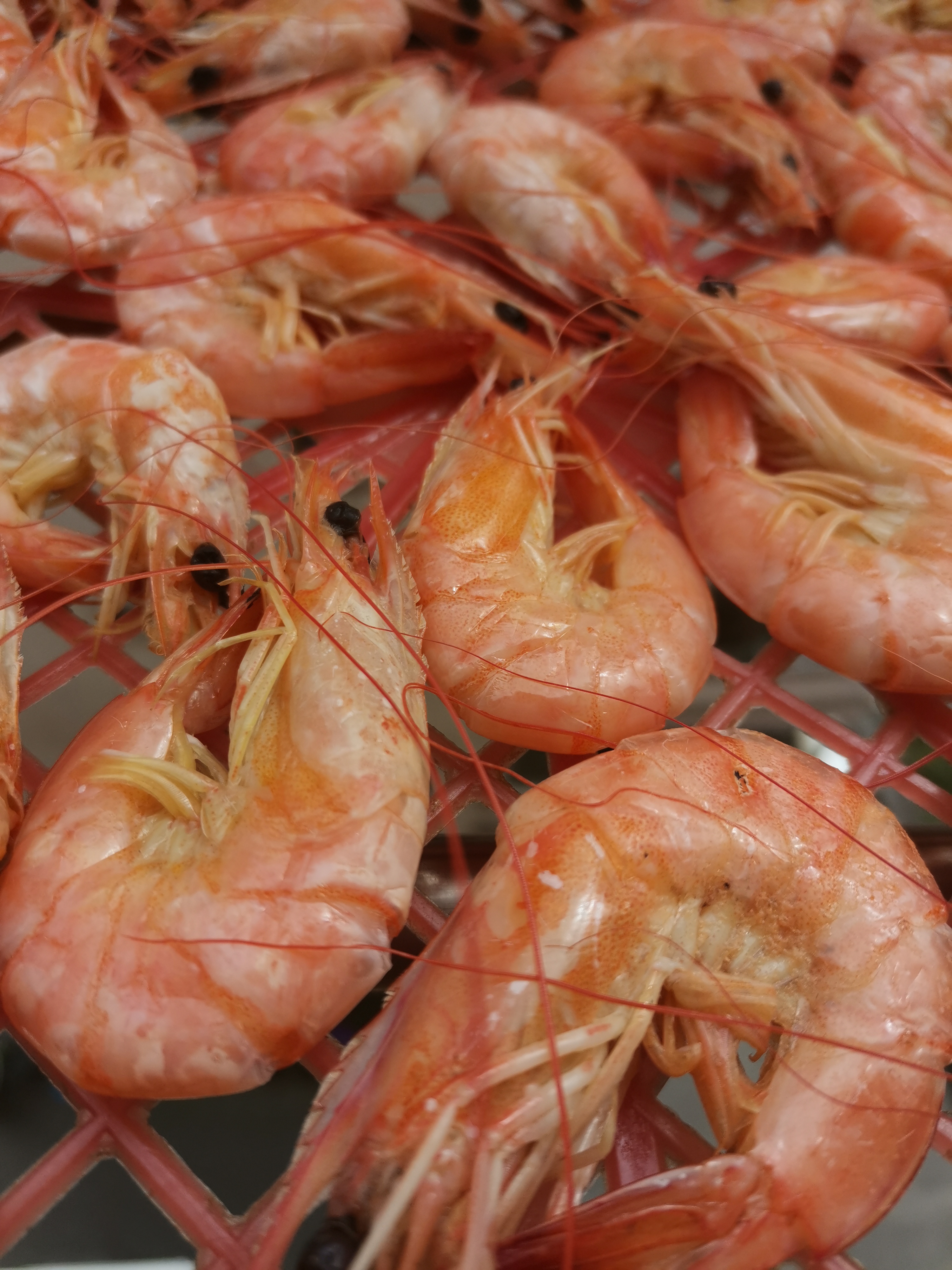 好吃虾干制作方法,速冻过的虾干怎么做最好吃