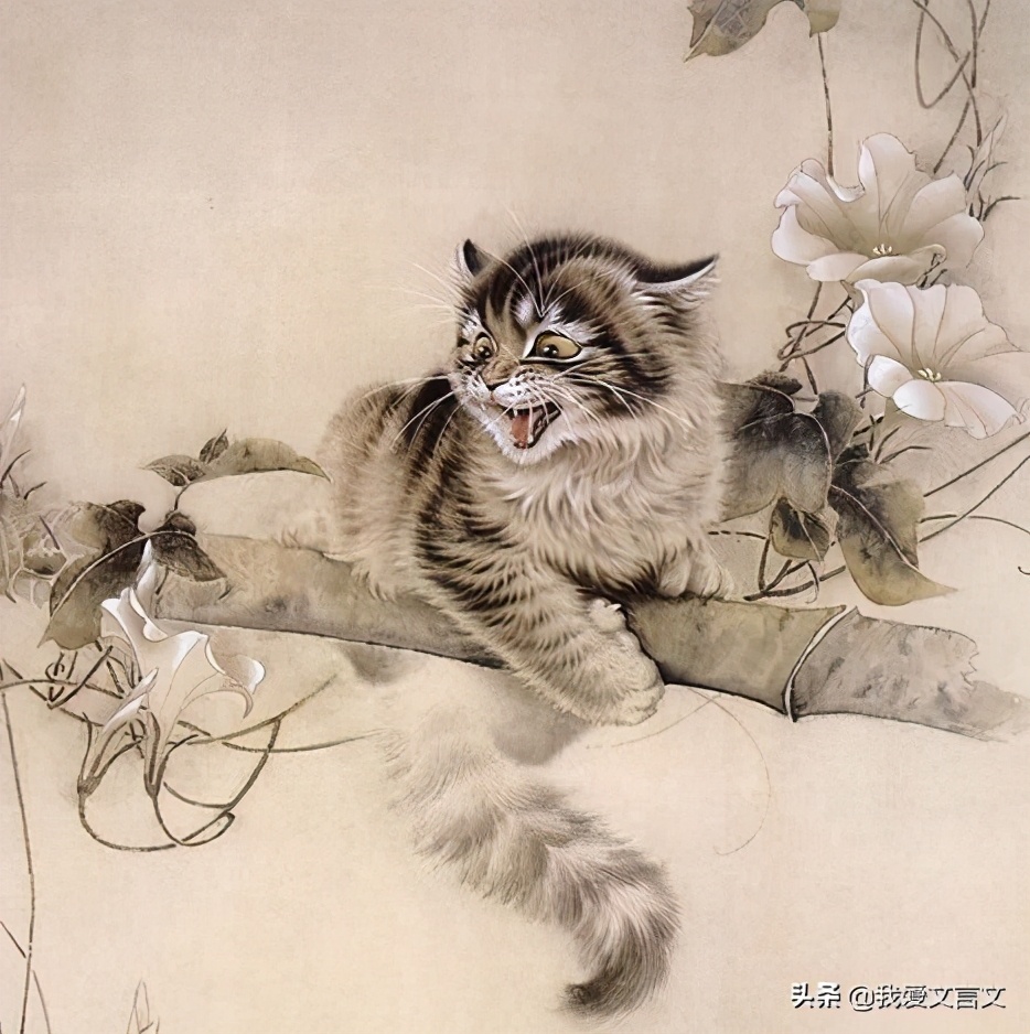 经典文言文朗读大全,经典文言文赏析视频