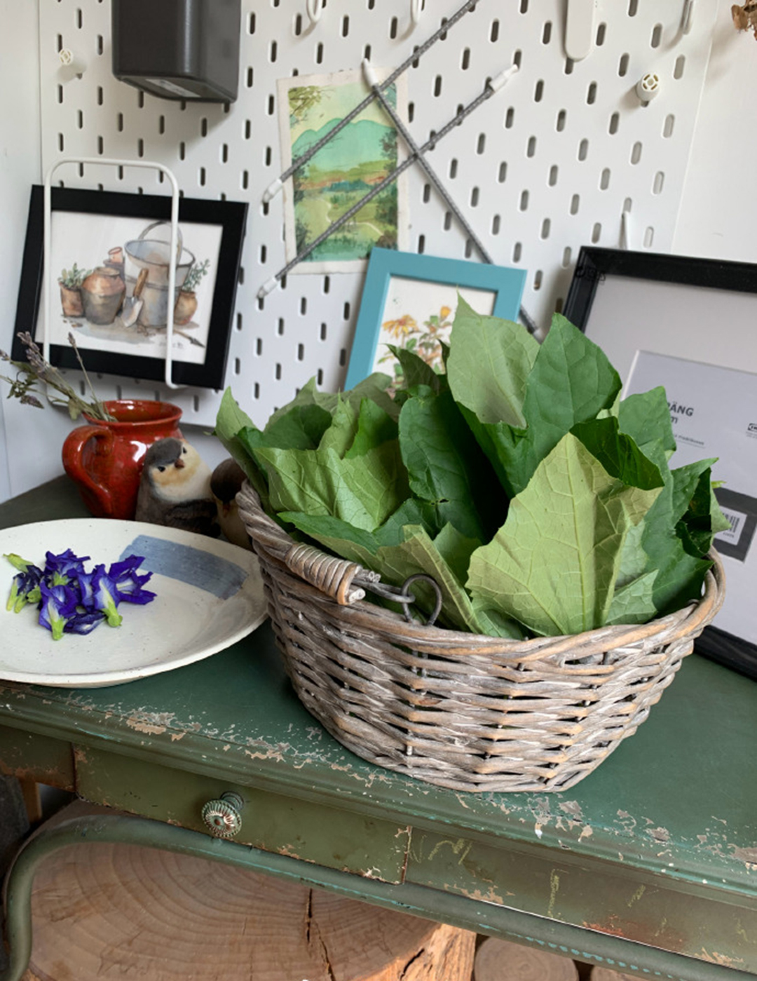 用丝瓜叶子把白T染成最近流行的牛油果绿