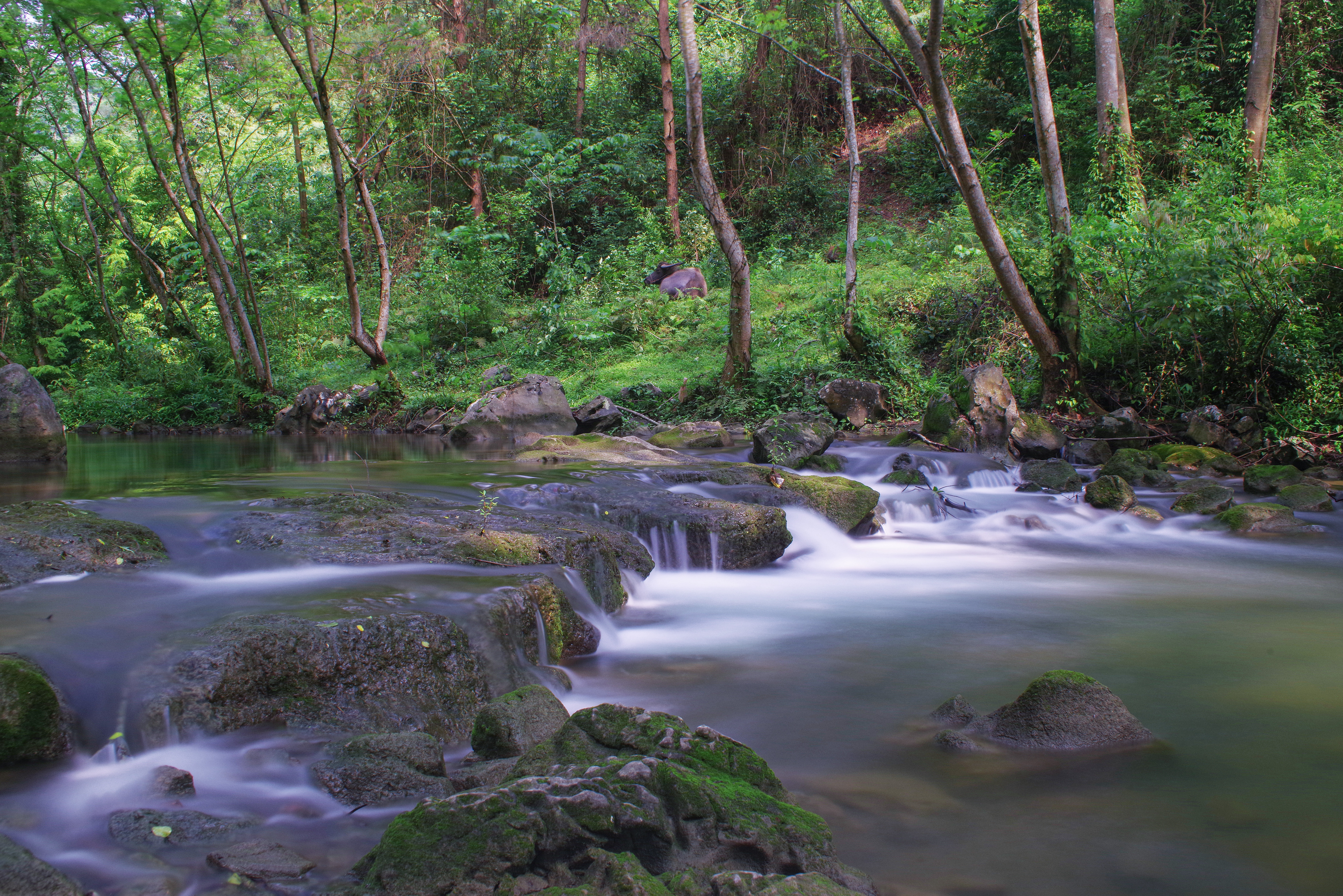 柳州三江小七孔,柳州版小七孔