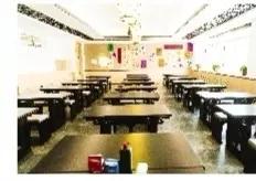 做有温度的教育雁西小学,做有温度的教育用专业赢得未来