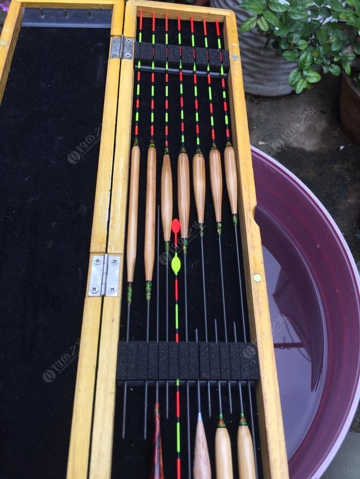 罗汉竹竿,罗汉竹和什么搭配好看