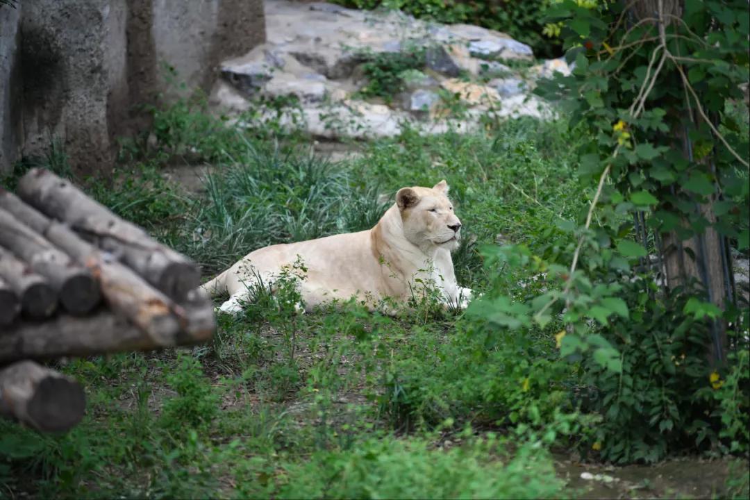 腾龙28-200f2.8长焦拍风景,长焦镜头腾龙