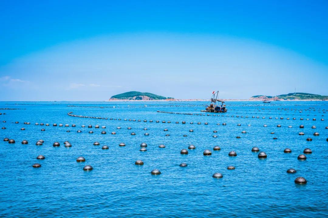 三亚和厦门哪一个更值得去旅游,三亚和厦门哪个更值得去旅游
