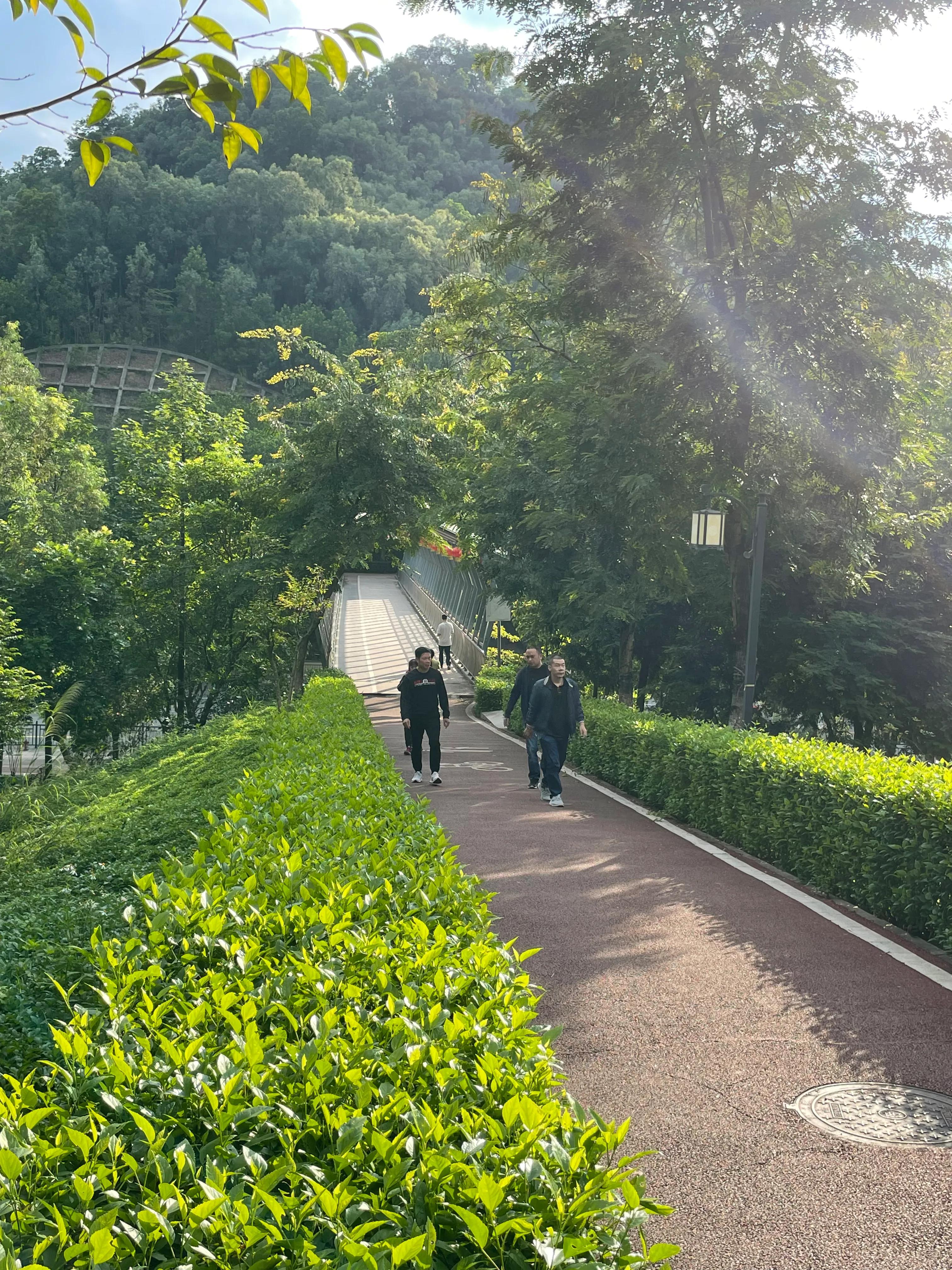 东莞旗峰公园爬山打卡,东莞人的公园