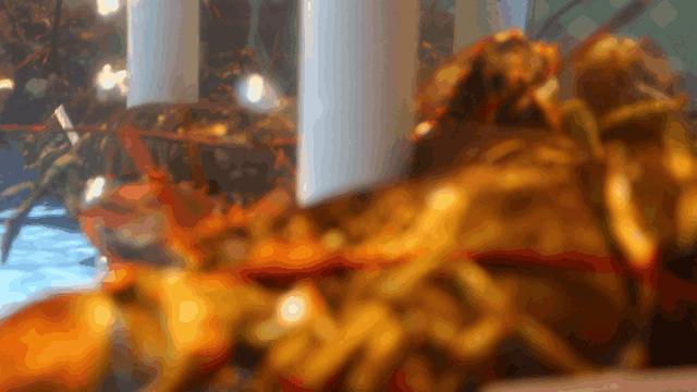 廊坊万向城华谊影讯,廊坊万向城小区是回迁房吗