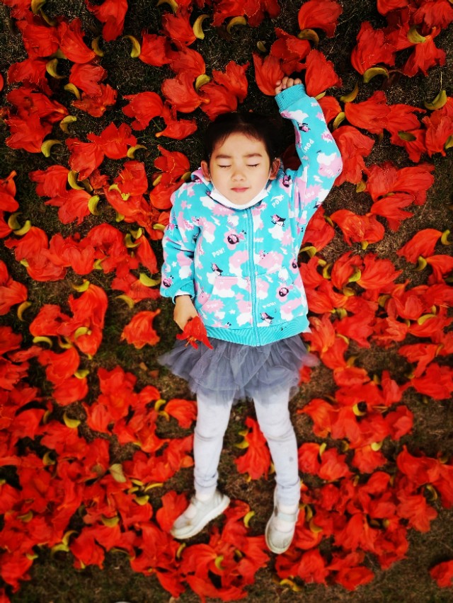 厦门园博苑带娃游玩攻略,厦门遛娃公园