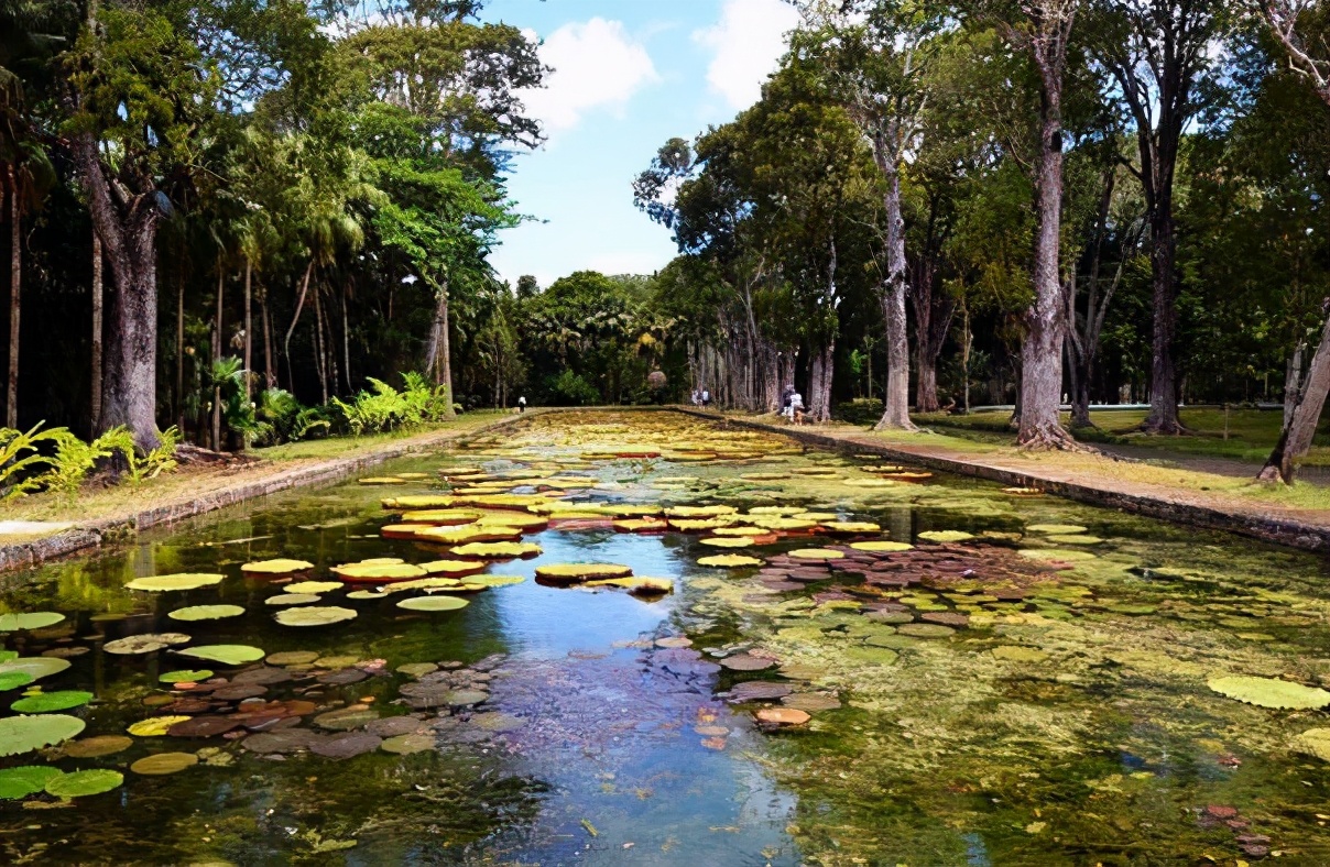 毛里求斯旅游攻略自由行,毛里求斯自由行攻略