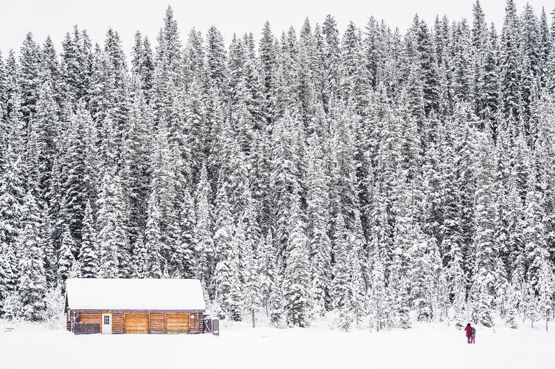加拿大魁北克冰雪节,加拿大艾伯塔省节