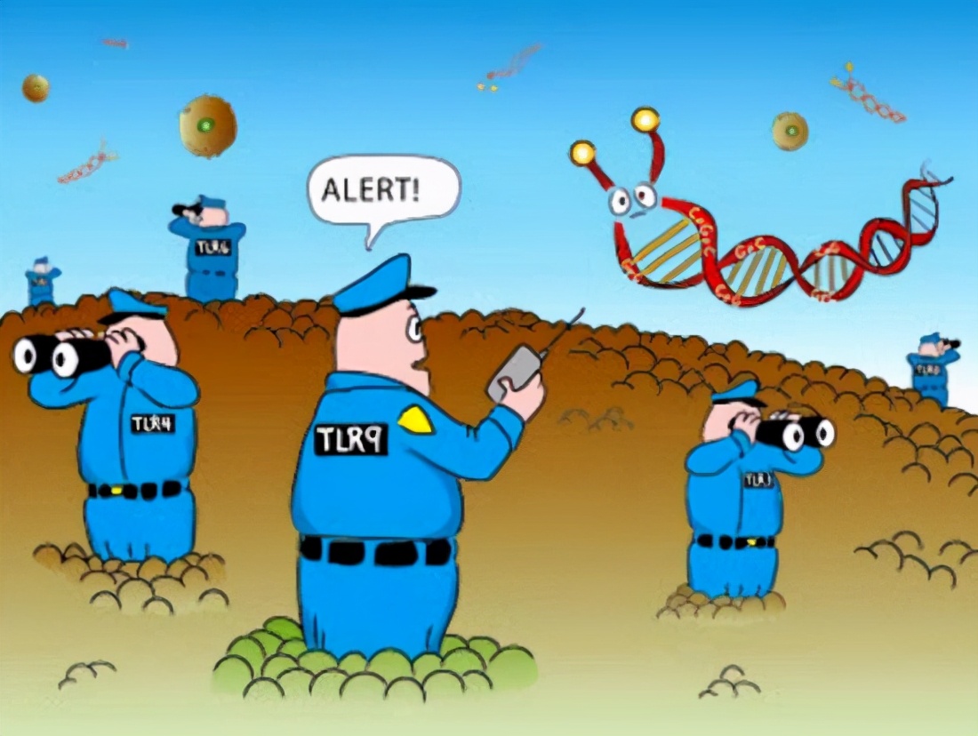 脸部受伤需要打破伤风针吗,狗自己受伤用打破伤风针吗