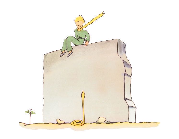 豆瓣9.0分的《小王子》：一本写给妈妈的书，请呵护好你的玫瑰