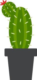 50种鲜切花花语，每个花艺师都要知道