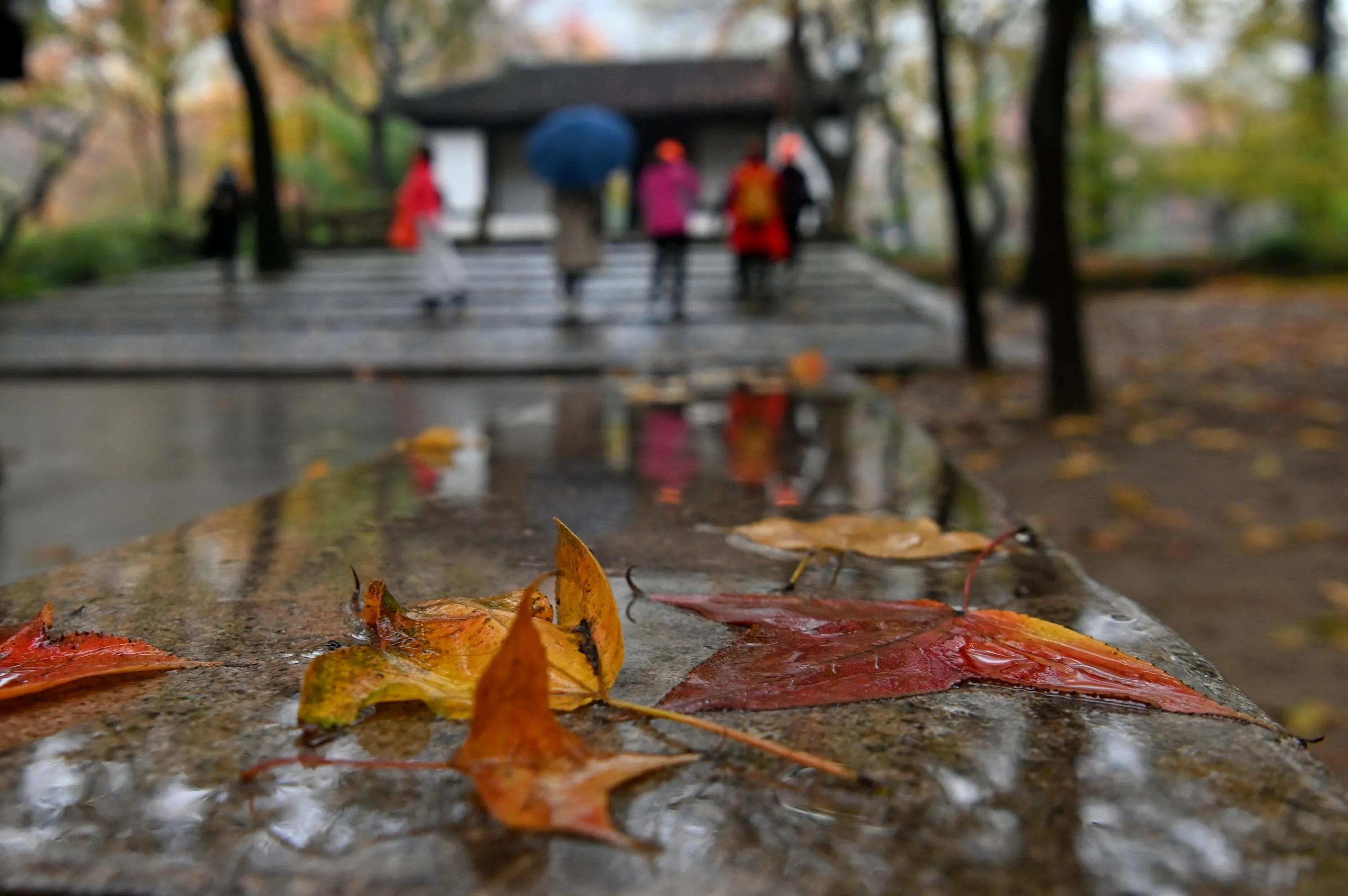 曲阜孔庙春节活动,曲阜孔庙景点介绍