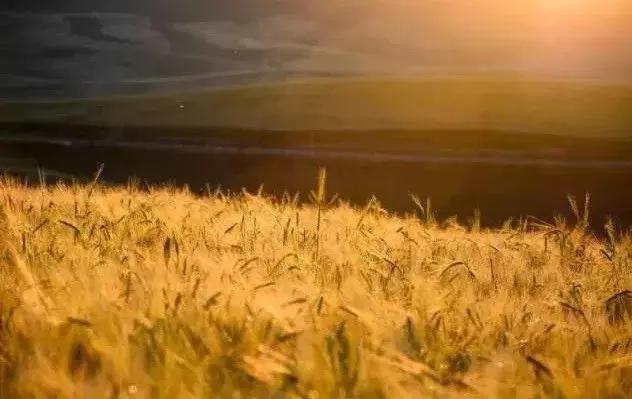 给你11个“十一”来*疆新**的理由