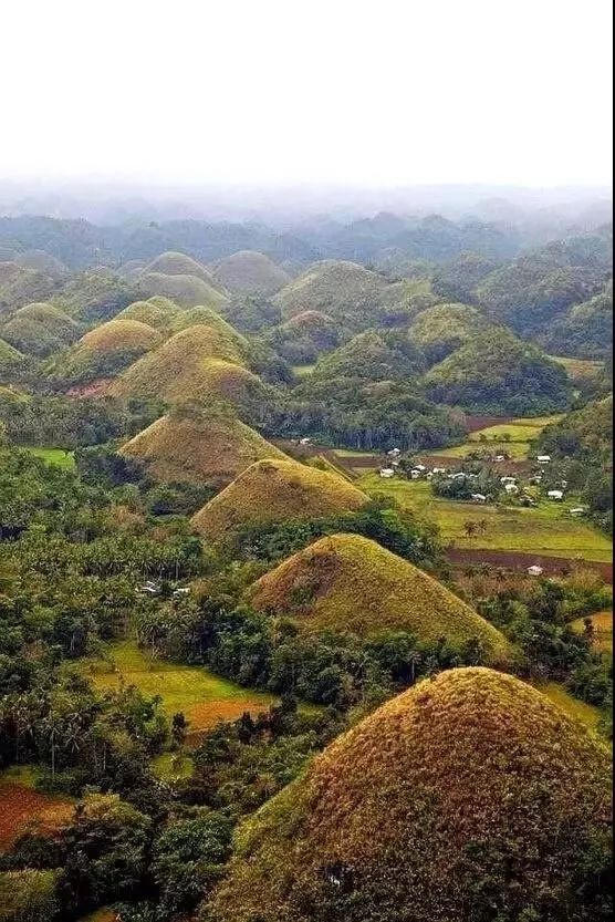 大自然的奇迹,大自然的奇迹鬼斧神工