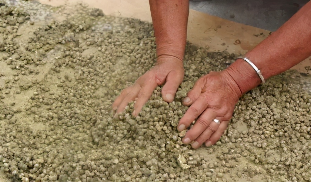 鲁西南酱豆子,陪伴我长大的老坛酸菜牛肉面