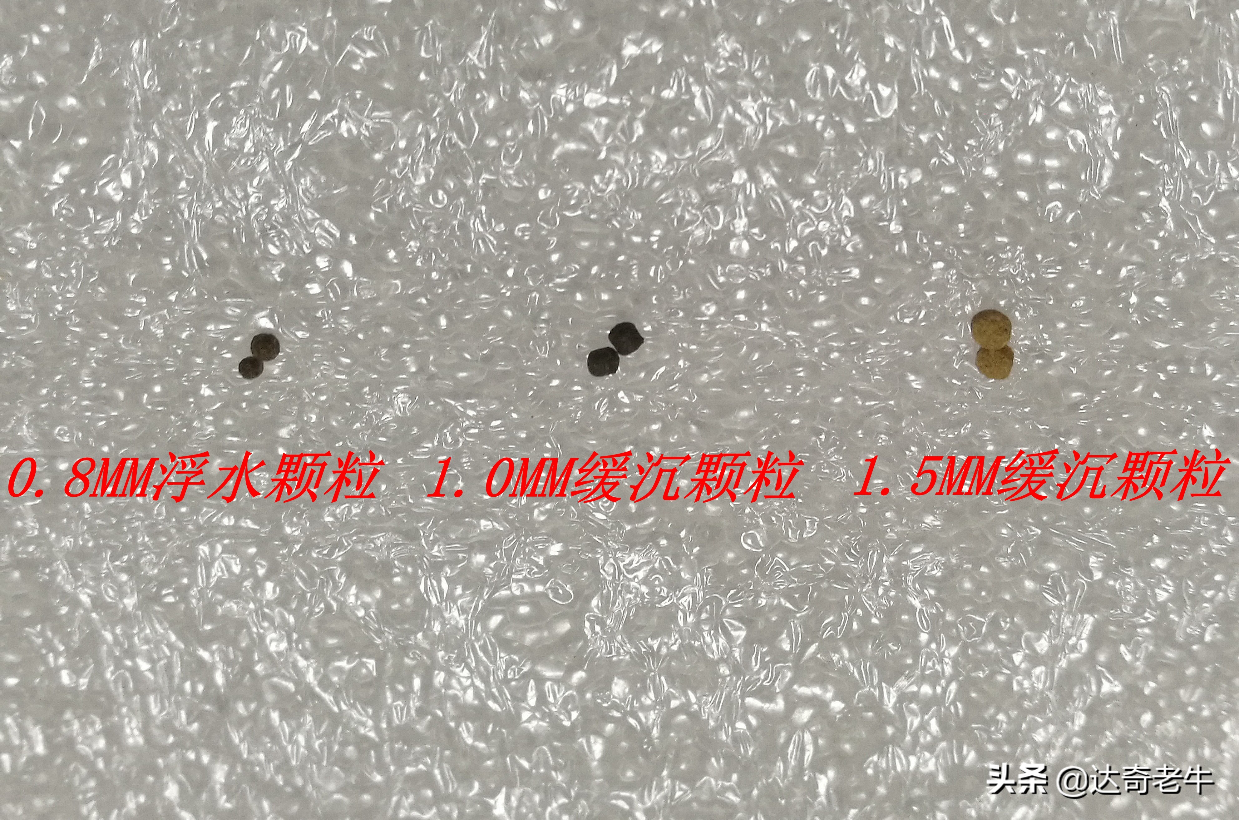 浮水颗粒怎么开成浮钓饵,浮水颗粒钓鱼选多大直径好用