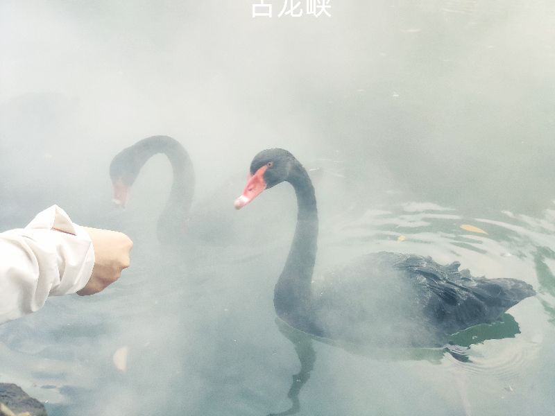 清远老虎谷溶洞漂流,清远老虎谷漂流落差多少