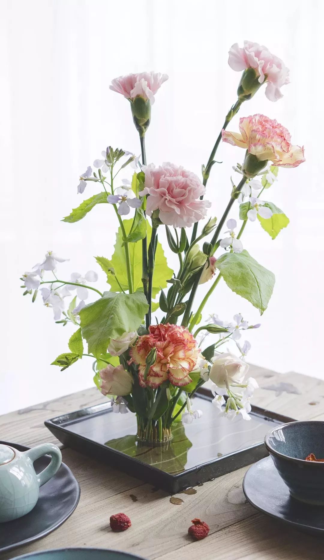 50种鲜切花花语，每个花艺师都要知道