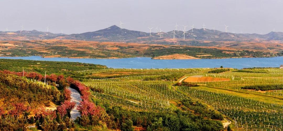 蓬莱自驾游旅游攻略路线推荐,蓬莱自驾游旅游攻略最佳路线