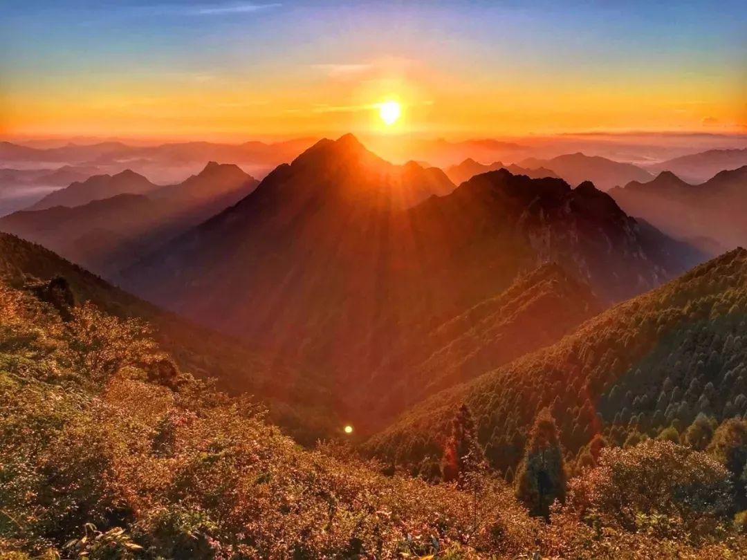 走进十大名山之天目山,松江这五座山你攀登过几处