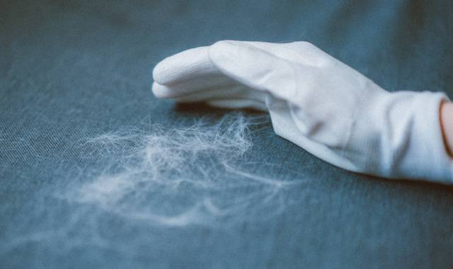 妈妈不舍宠物猫，婴儿肺里竟有猫毛?宠物与宝宝如何兼得?