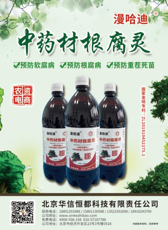 枸杞树根腐病最佳药,枸杞死苗烂根怎么治