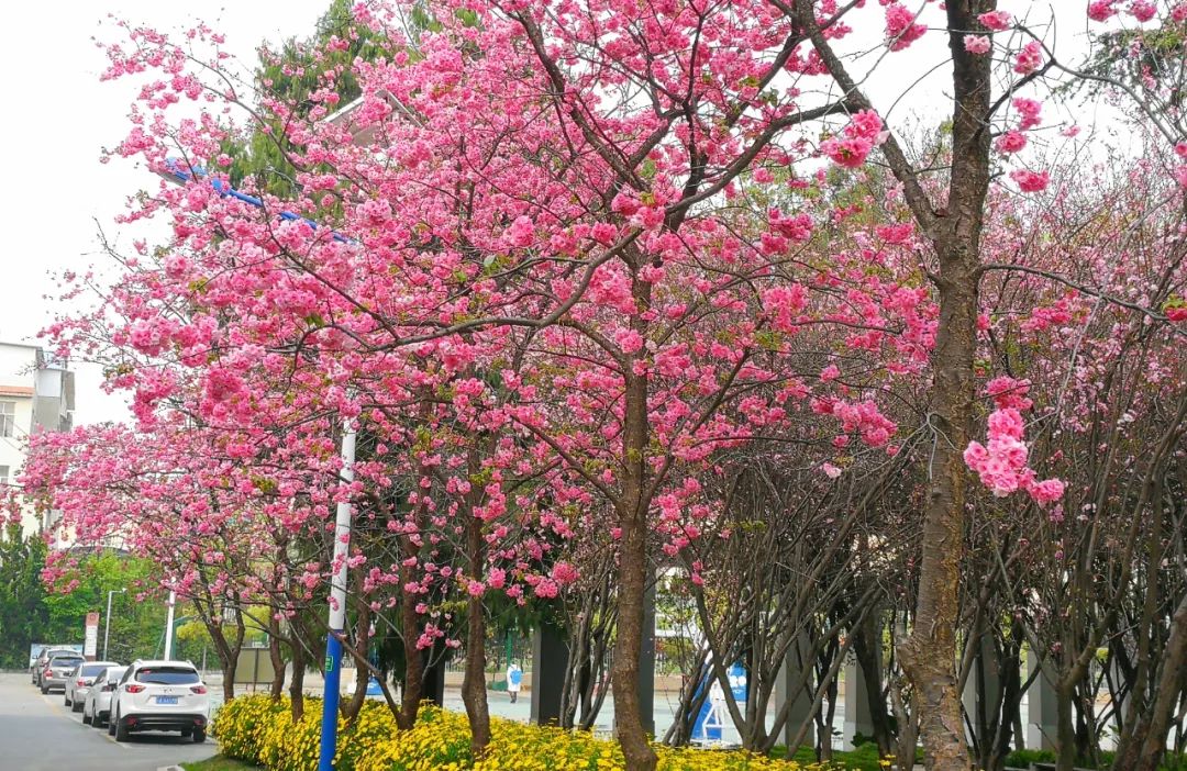 崭新宿舍，超赞食堂，便利设施！在昆二十四中学习与生活超幸福