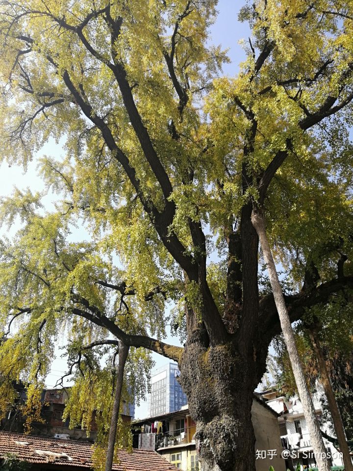 武汉旅游线路攻略图片,武汉攻略经典三日游