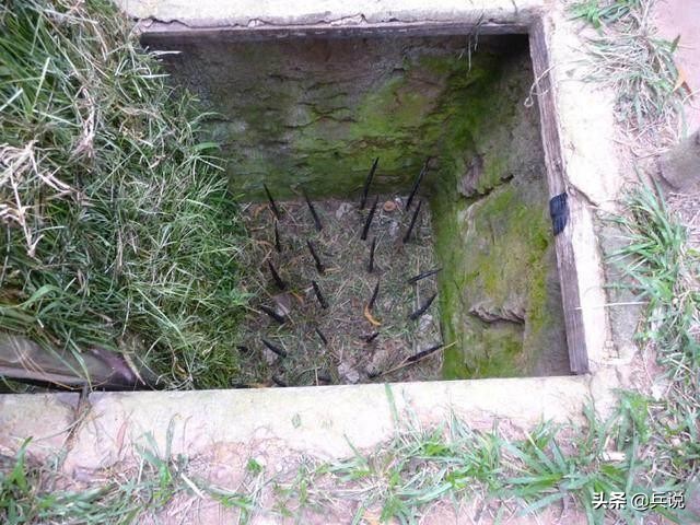 越军遍设竹尖陷阱,外加毒蛇,美军闻风丧胆,不敢收尸