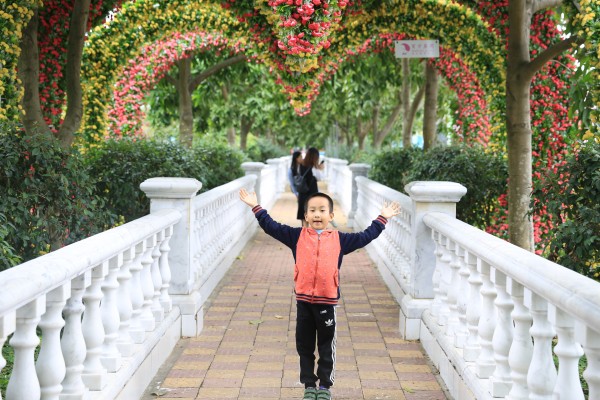 森林花海亲子游攻略,森林公园亲子游推荐