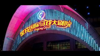 厦门灵玲动物王国大熊猫,厦门马戏团灵玲动物王国观光游览