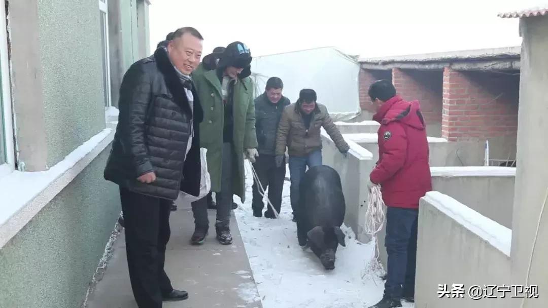 杀年猪什么季节最好,近两天农村杀年猪哪天好