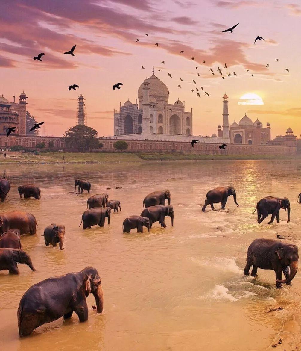 艺术摄影修图,艺术拍照修图