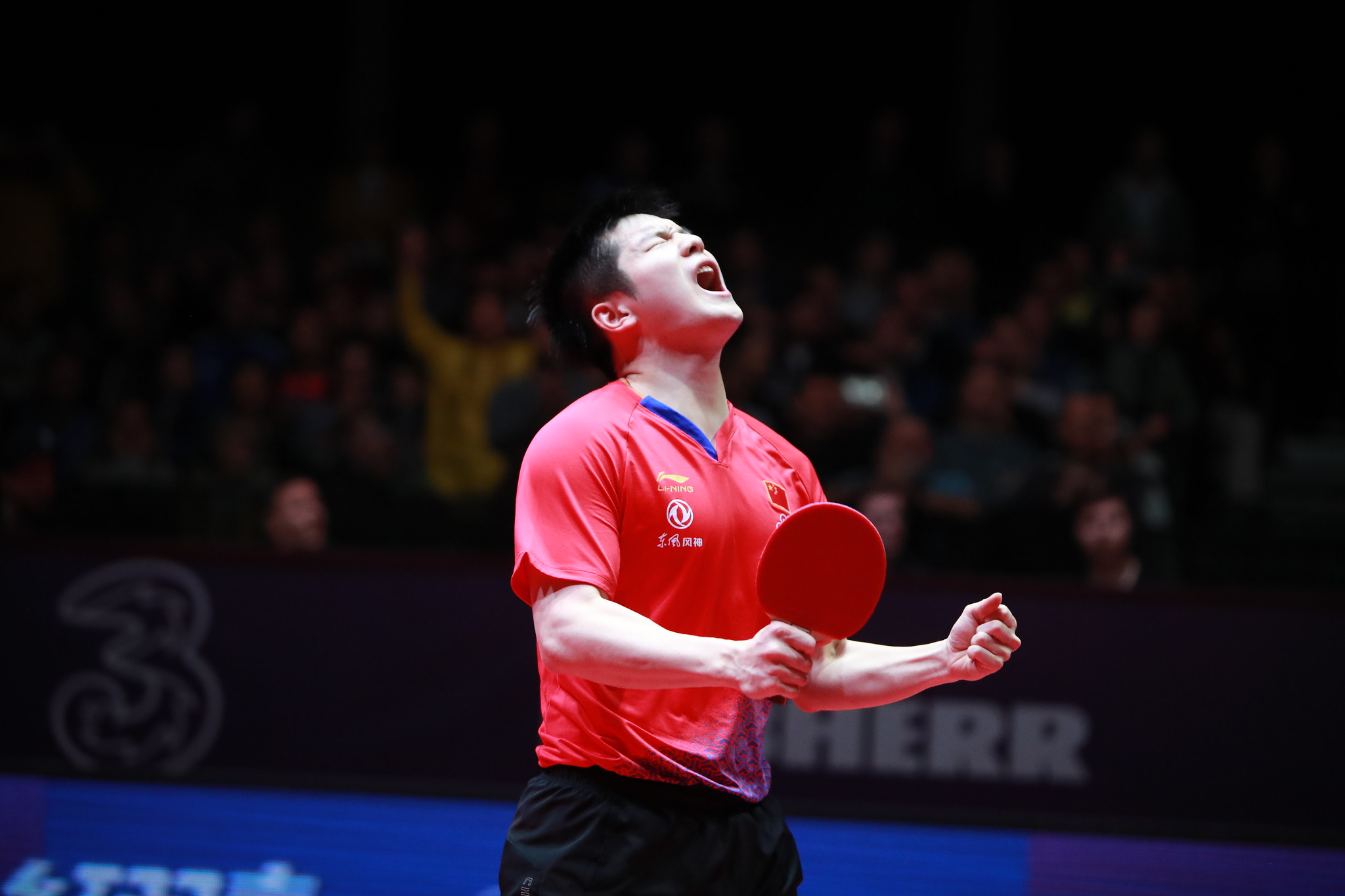 樊振东的世乒赛之路,樊振东的直通赛各场成绩