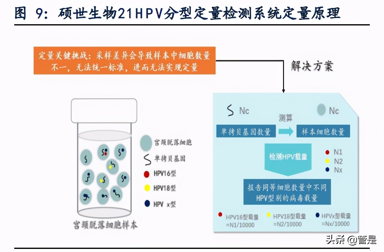 硕世生物2021年一季报,硕世生物新闻