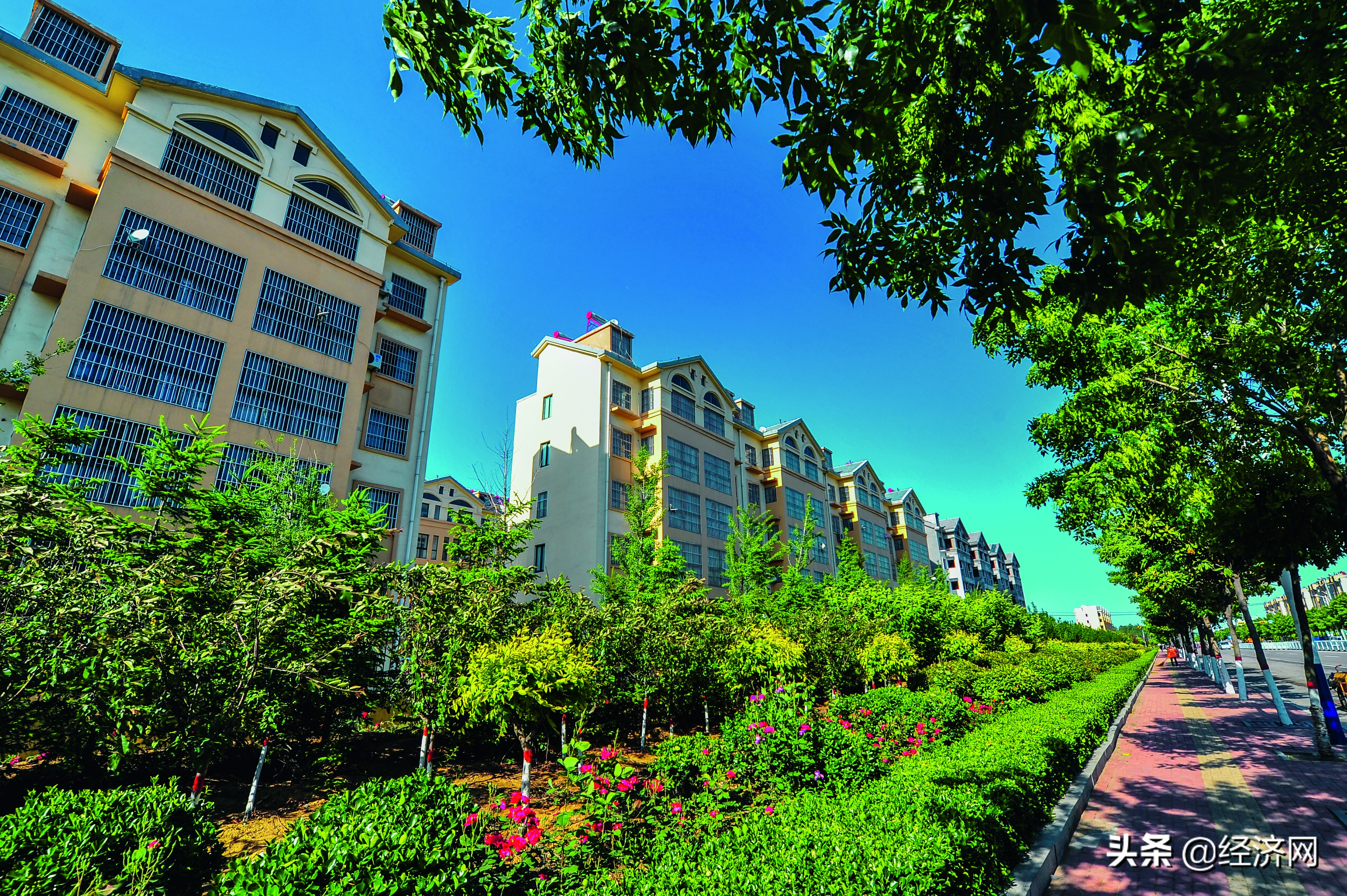 滕州市西岗镇最新工作动态,滕州西岗镇工作报告