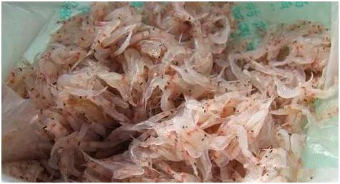 看图识海鲜，这些水产海鲜你都认识吗？