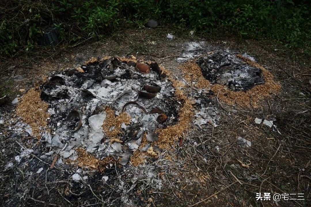 景德镇年轻人外出打工的多吗,景德镇为何成为年轻人的治愈地