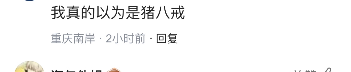 比杨幂还夸张！车晓整成猪头鼻，网友神评：八戒，你变漂亮了