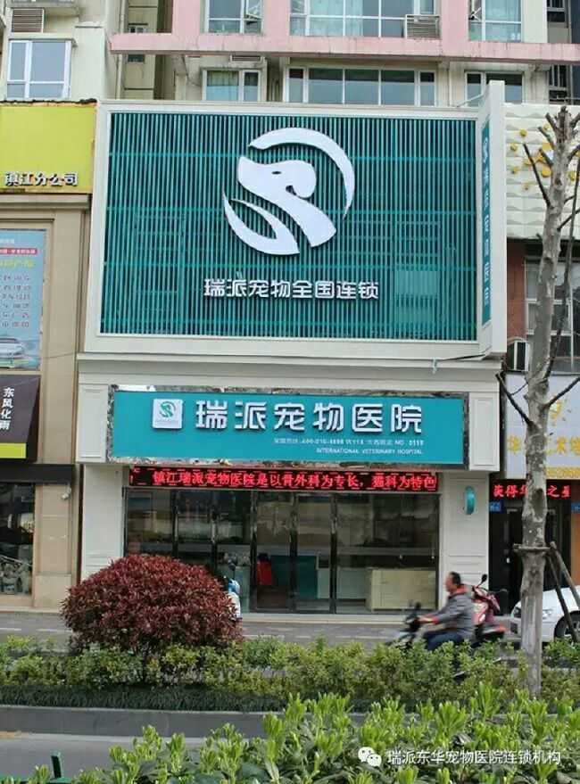 瑞派宠物医院告诉你最牛医院的正确打开方式