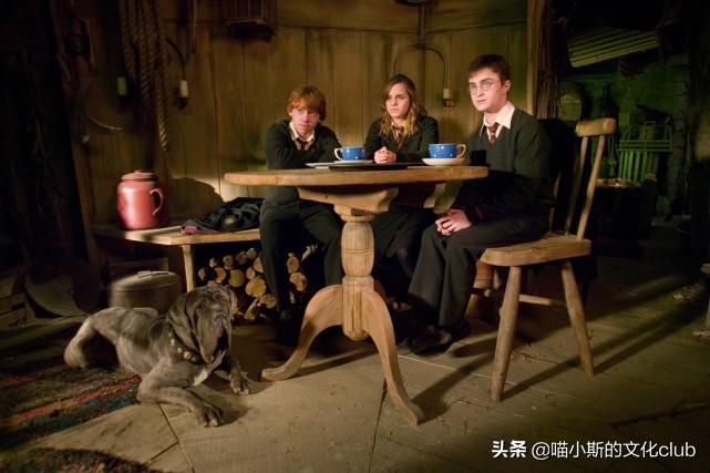 哈利波特中的虎斑猫是谁,哈利波特的黑狗是谁