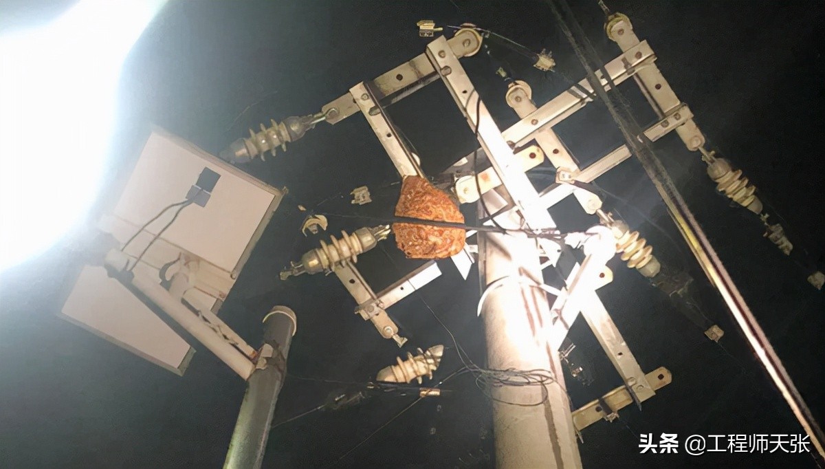 广西发现巨型马蜂,楼顶惊现巨型马蜂窝直径达半米