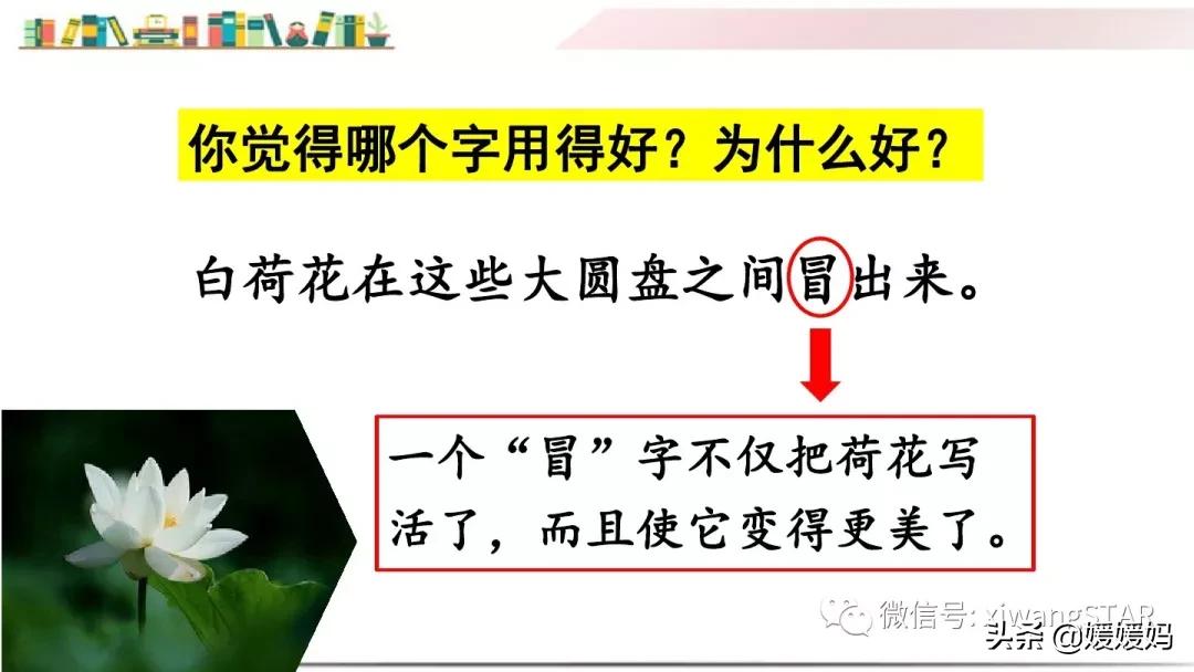 三年级下册荷花ppt课件部编版,三年级下册语文第三课荷花小练笔