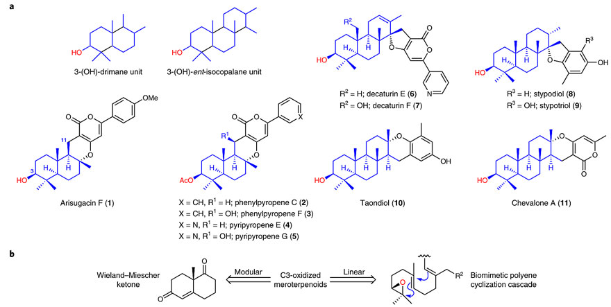 生物合成和定向催化合成,生物合成反应和分解反应解析
