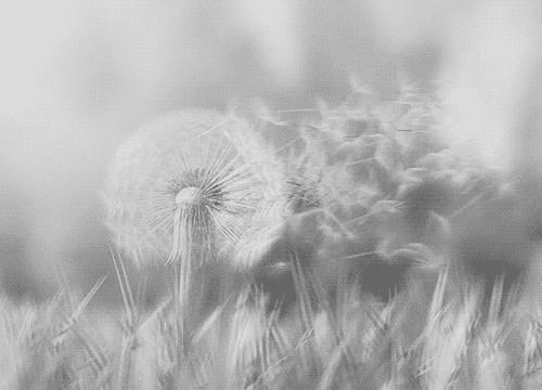 心情不好看看这10句话,当你心情不好时可以说这5句话