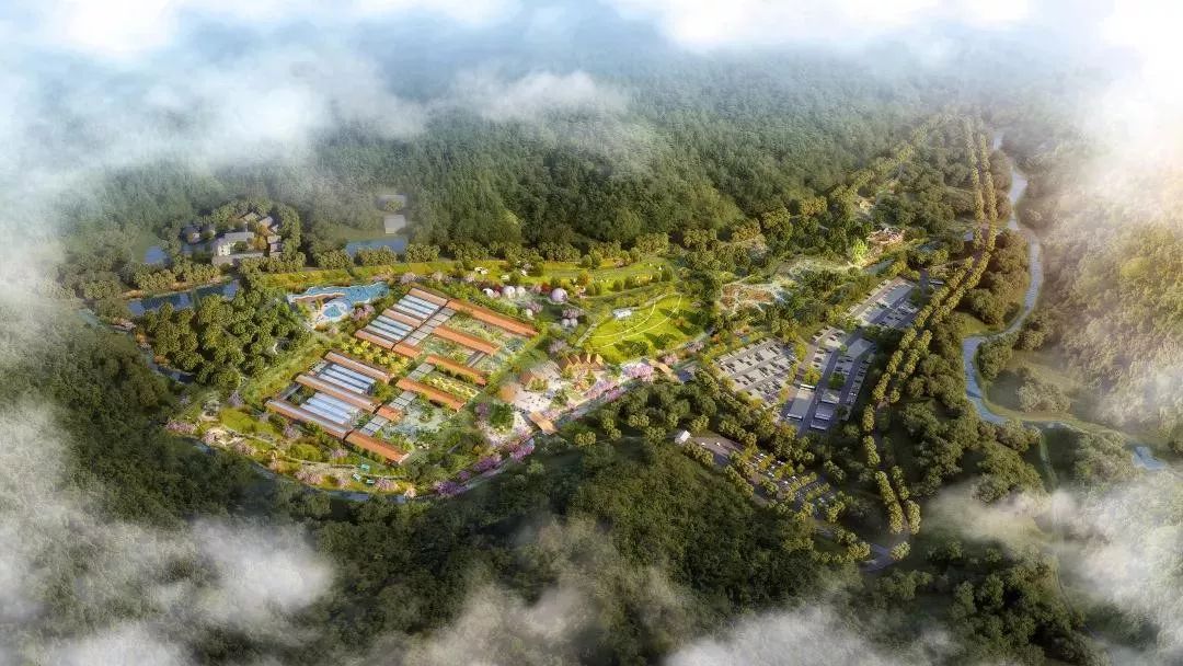 大局已定惠州横沥在哪呢,东莞大变局